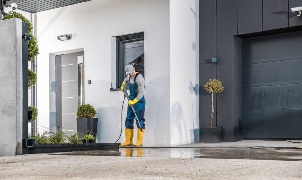 Best Sidewalk and Walkway Cleaning  in Alturas, FL